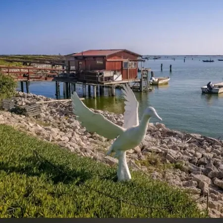 Çiftlik konaklama Agriturismo Ca' Pisani